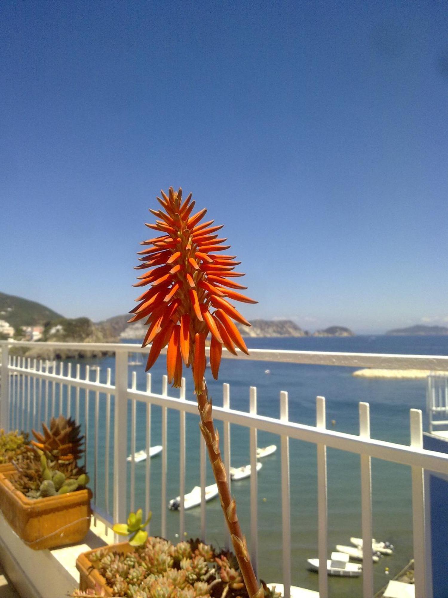 Hotel La Baia Ponza Bagian luar foto